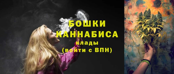 PSILOCYBIN Абаза