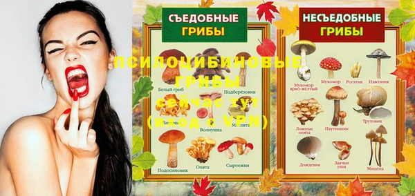 PSILOCYBIN Абаза