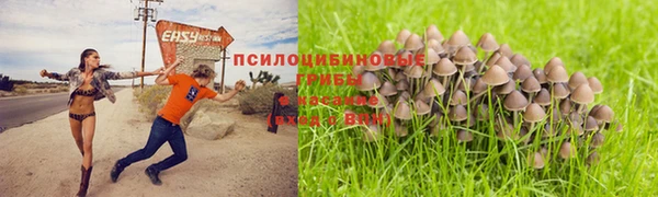 PSILOCYBIN Абаза