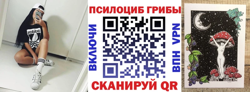 где купить наркотик  Сурск  Псилоцибиновые грибы Magic Shrooms 